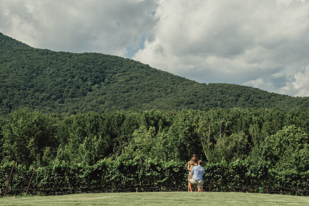 yonah mountain vineyard proposal