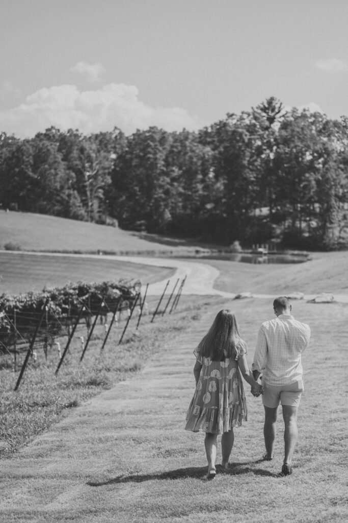 cleveland georgia engagement photos at yonah mountain vineyards